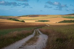Pais-de-Calais