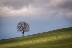 Zuid-Limburg-Solitair