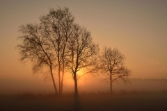 De zon wint aan kracht