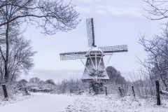 de Zaandplatte