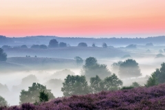 Just before sunrise