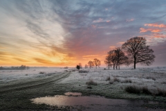 Een schitterende zonsopkomst boven het Dwingelderveld