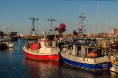 20230610-_DSC6185-bewerkt