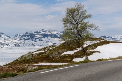 20230612-_DSC6267-bewerkt