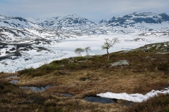20230612-_DSC6268-bewerkt