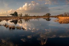 Pano-Dwingelderveld