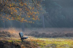 Take-a-seat-and-enjoy-autumn