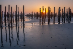 14-De-zon-komt-door-de-nevel