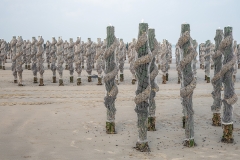 37-Nieuwe-netten