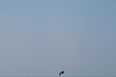 44-Kitesurfer