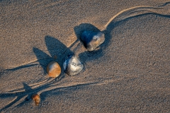 39-in-the-Sand