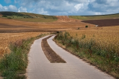 44-Back-Roads