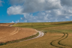 45-Hill-Country
