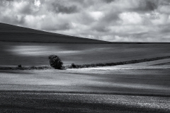 46-Light-and-Shadow