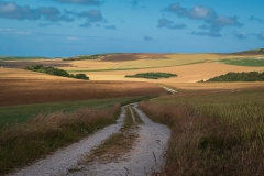 47-Country-side