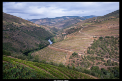 25-Douro-vallei