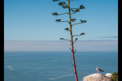 46-Turen-over-de-oceaan