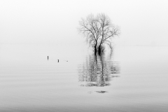 When the River Flows